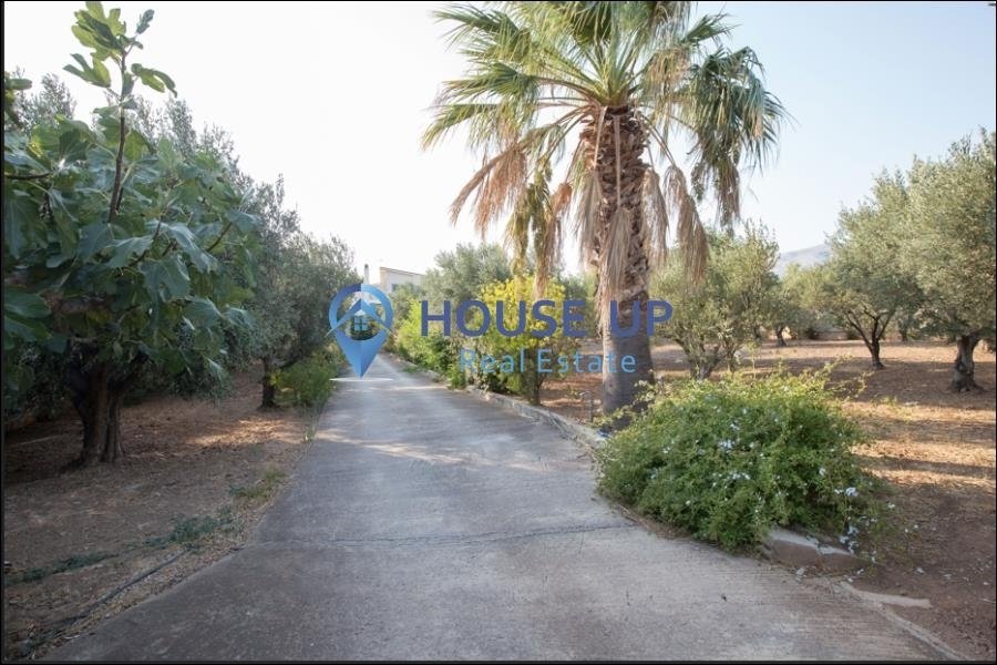 House in Anavissos, Attica, Greece 5 - 17721246