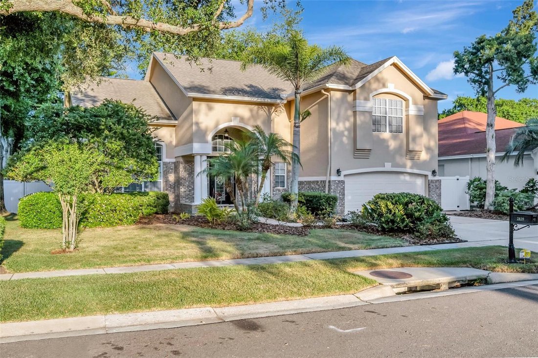 House in Tampa, Florida, United States 2 - 17720083