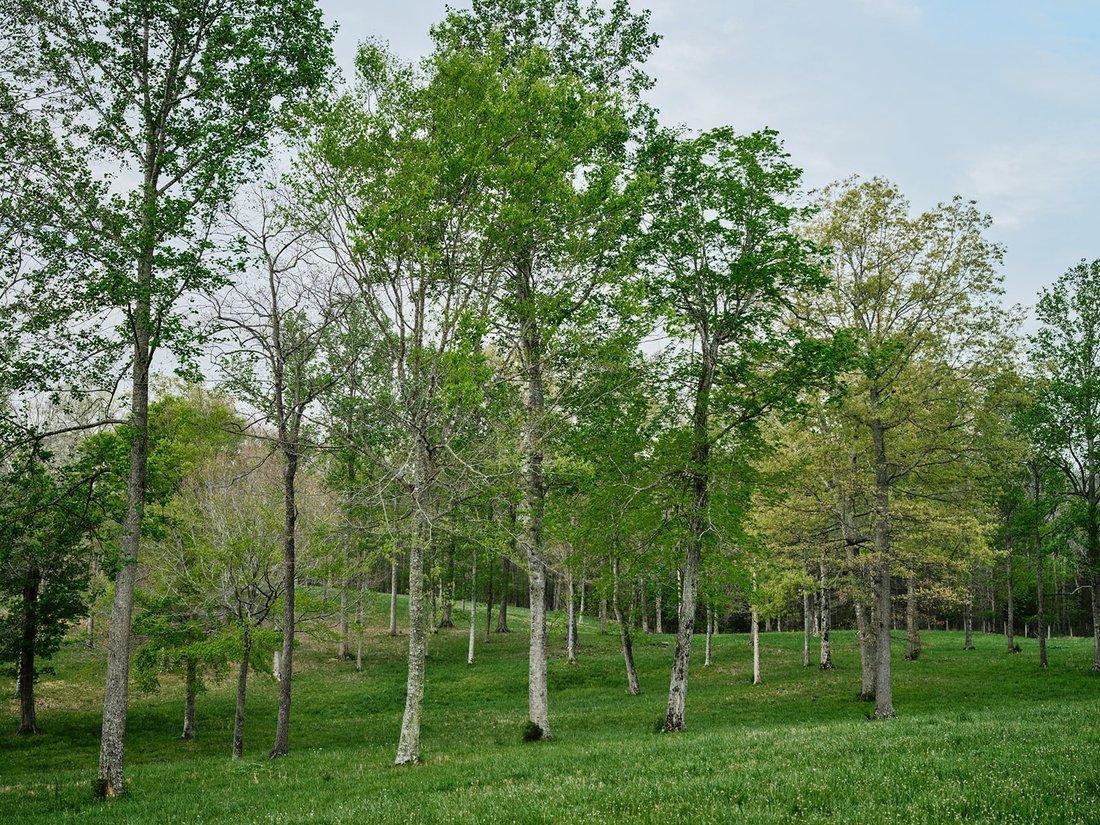 House in Pegram, Tennessee, United States 4 - 17723127