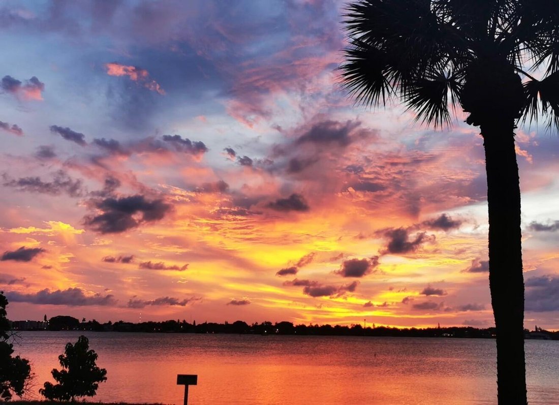 Condo in Palm Beach, Florida, United States 2 - 17541195