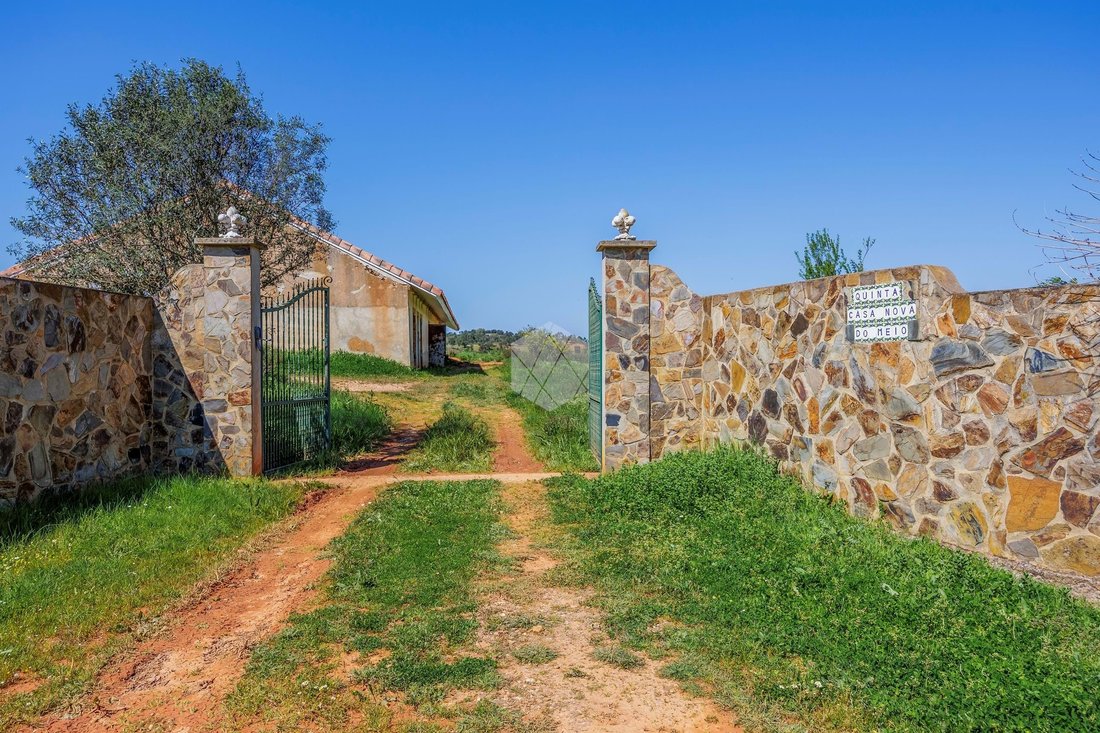 Farm Ranch in Sao Salvador e Santa Maria, Beja District, Portugal 5 - 17721537