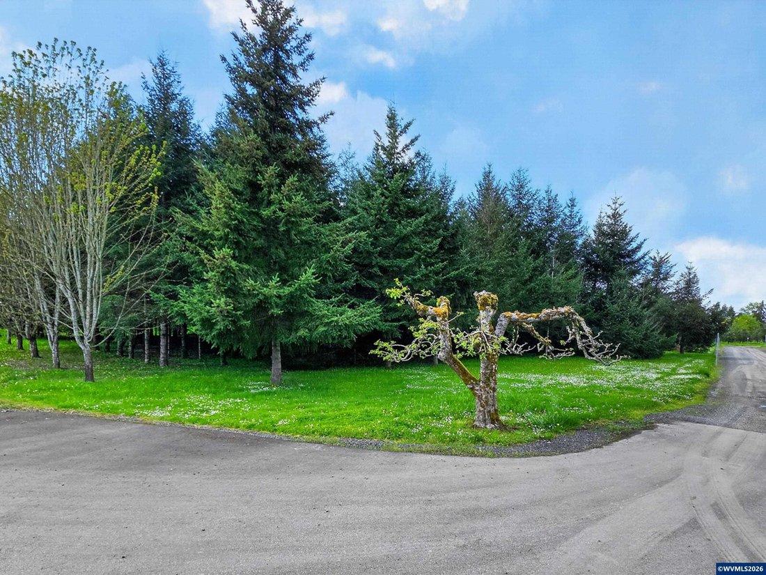 Land in Lebanon, Oregon, United States 3 - 17723777
