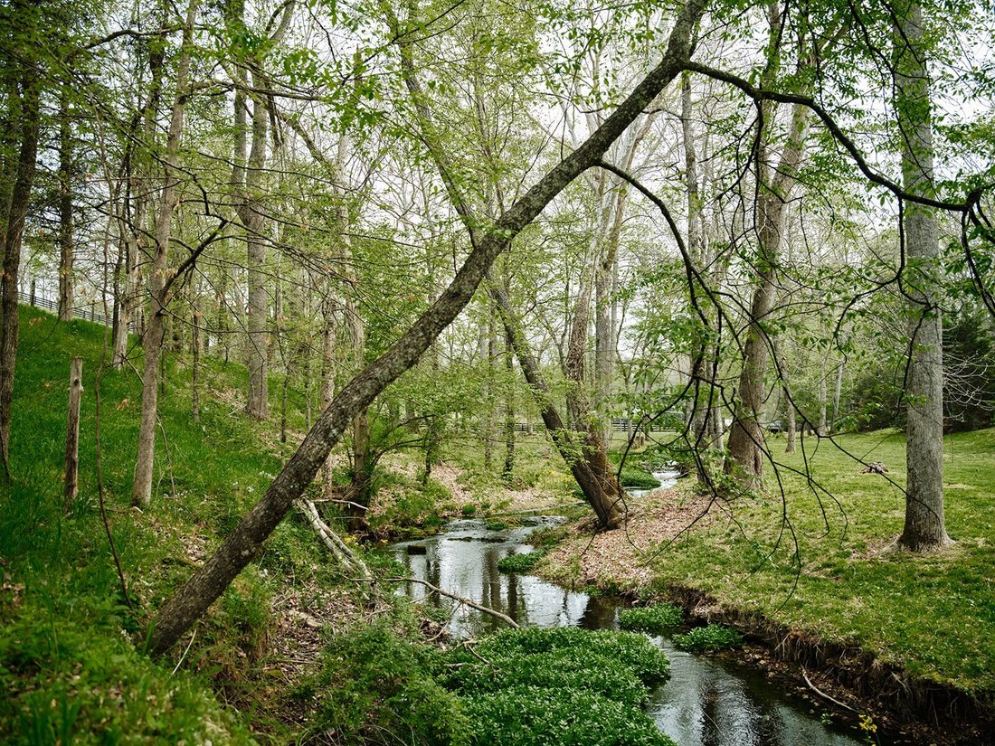 House in Pegram, Tennessee, United States 5 - 17723127