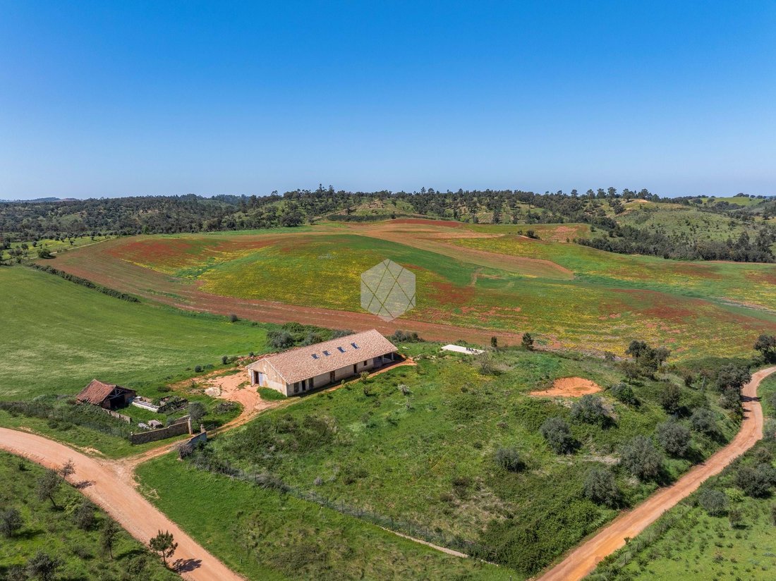 Farm Ranch in Sao Salvador e Santa Maria, Beja District, Portugal 1 - 17721537