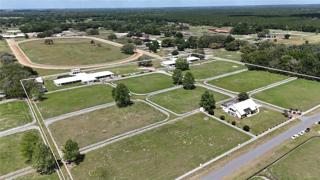 Farm Ranch in Morriston, Florida, United States 1 - 17720069