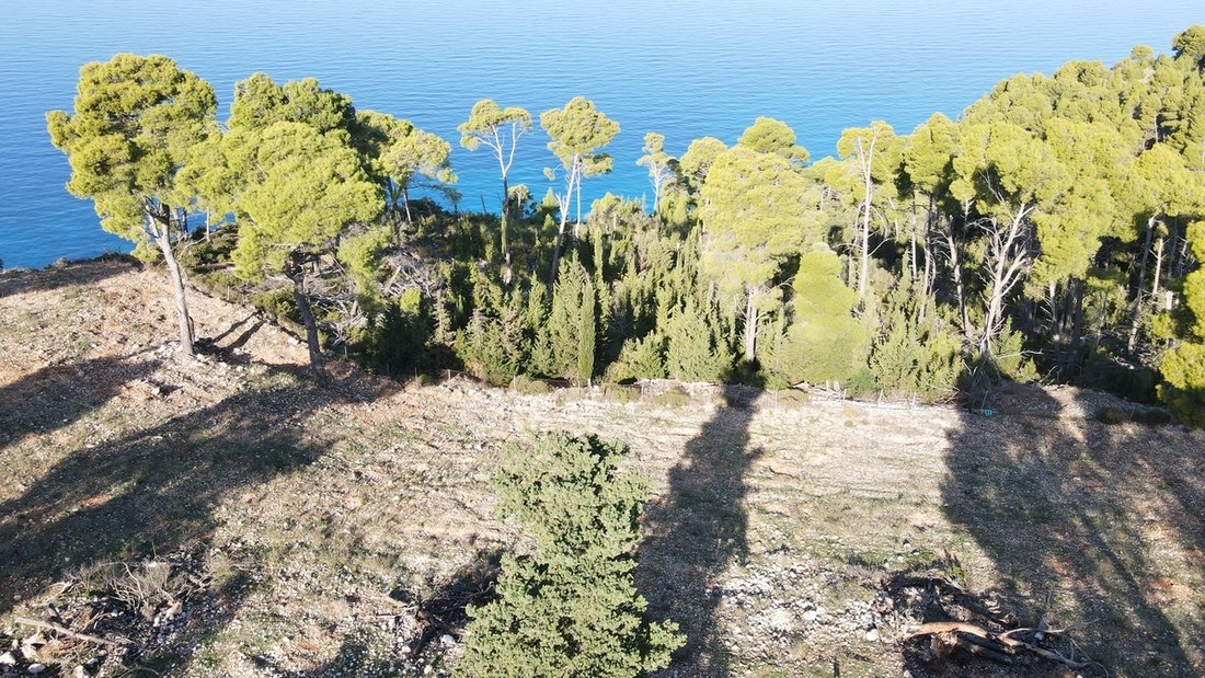 Land in Athaniou, Apollonioi, Greece 4 - 17719945