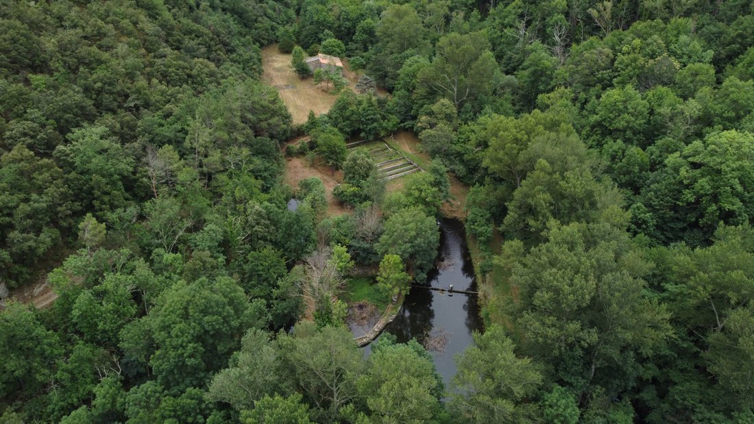 Land in Vinca, Occitania, France 1 - 17720044