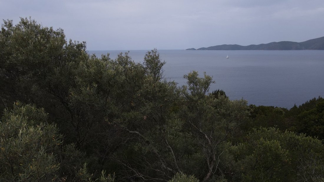 Land in Marantoxoriou, Apollonioi, Greece 4 - 17719937