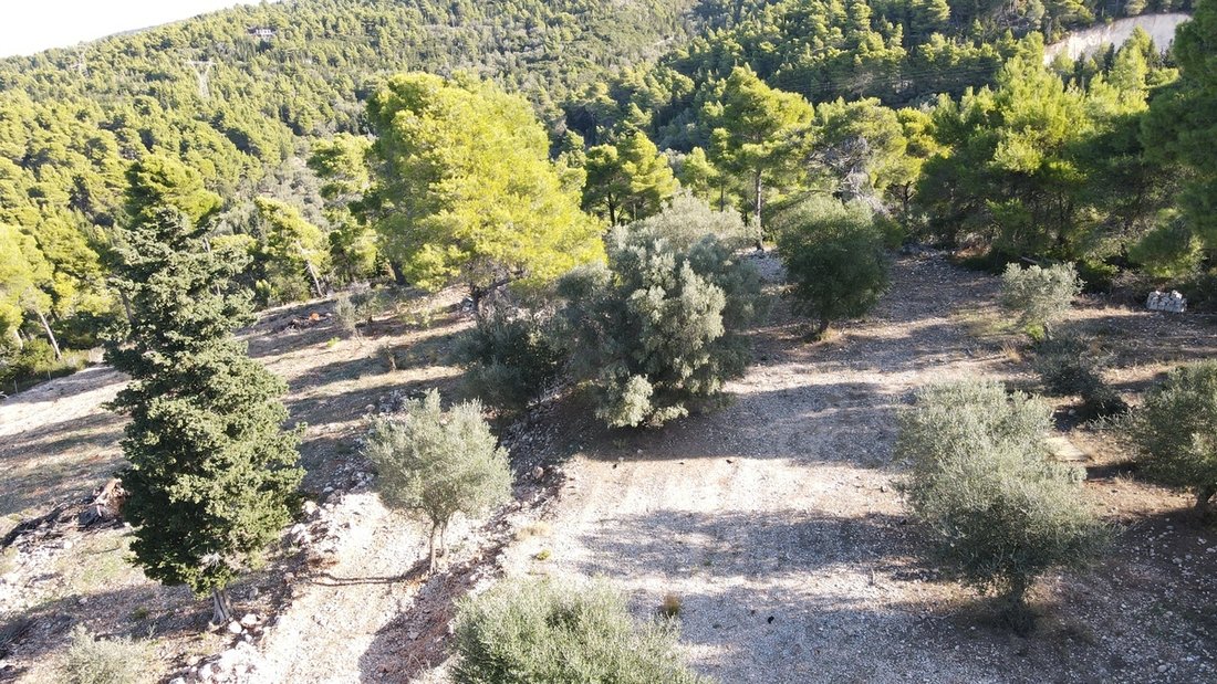 Land in Athaniou, Apollonioi, Greece 5 - 17719945