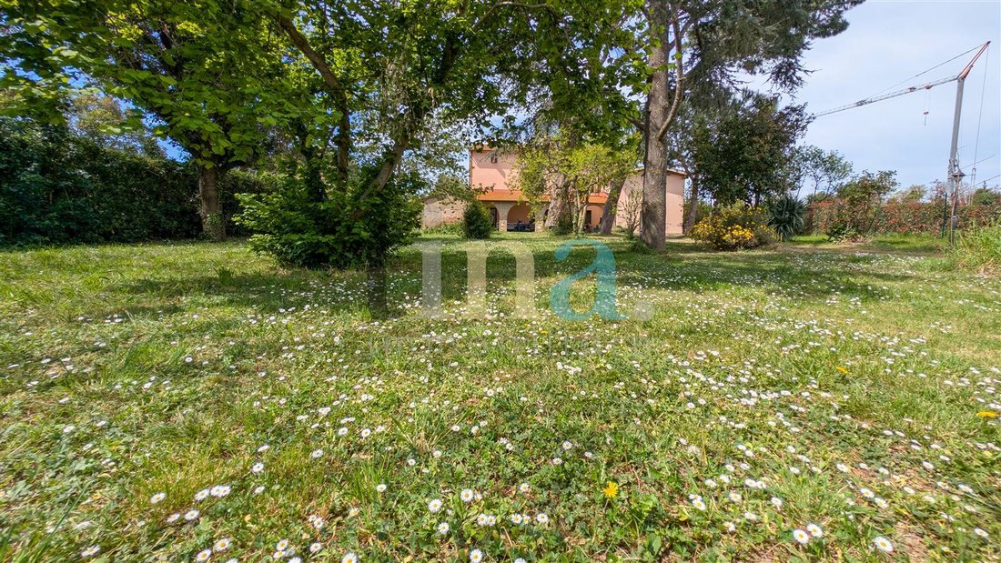 Country House in Cecina Centro, Cecina, Tuscany 3 - 17720135