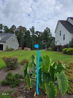 House in Hampstead, North Carolina, United States 4 - 17722747