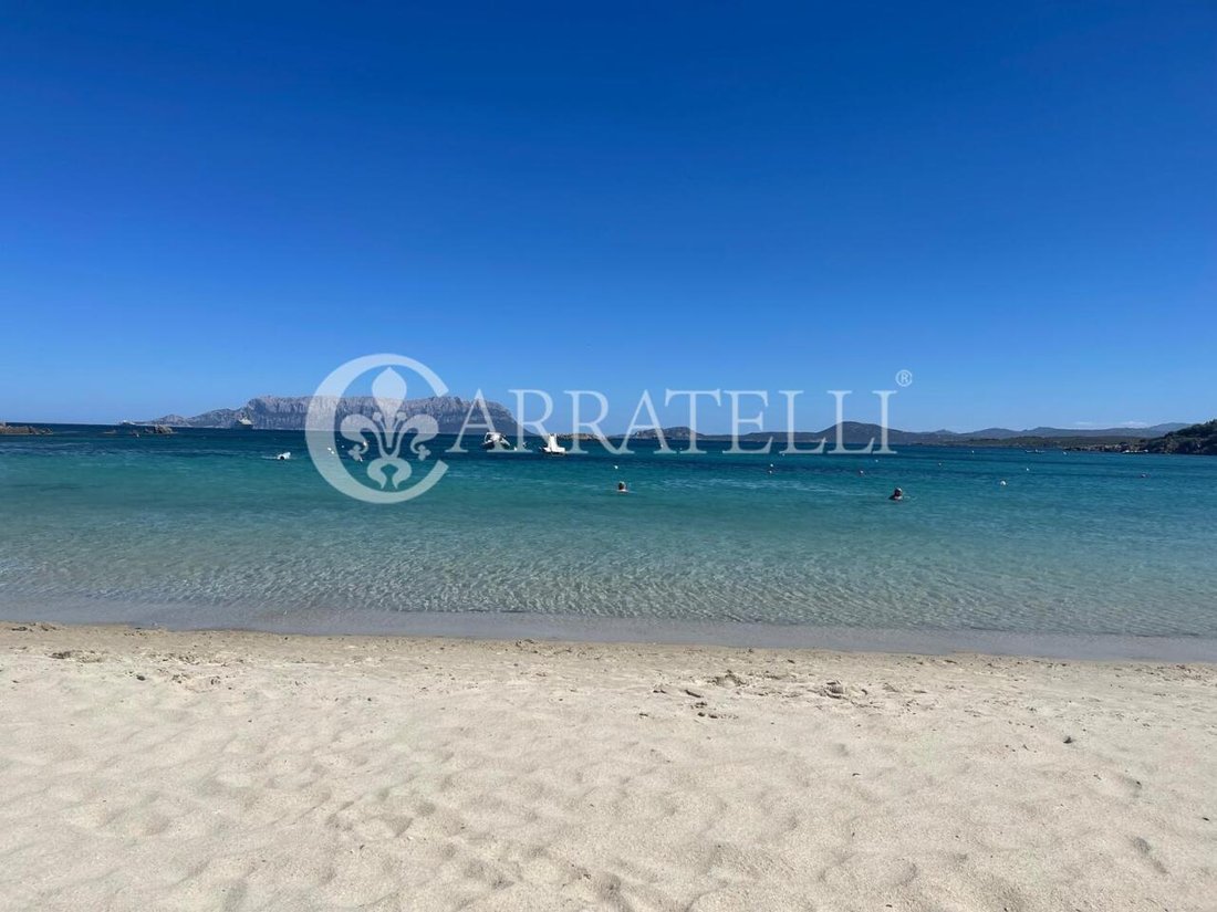 Apartment in Porto Rotondo, Olbia, Sardinia 1 - 14335062