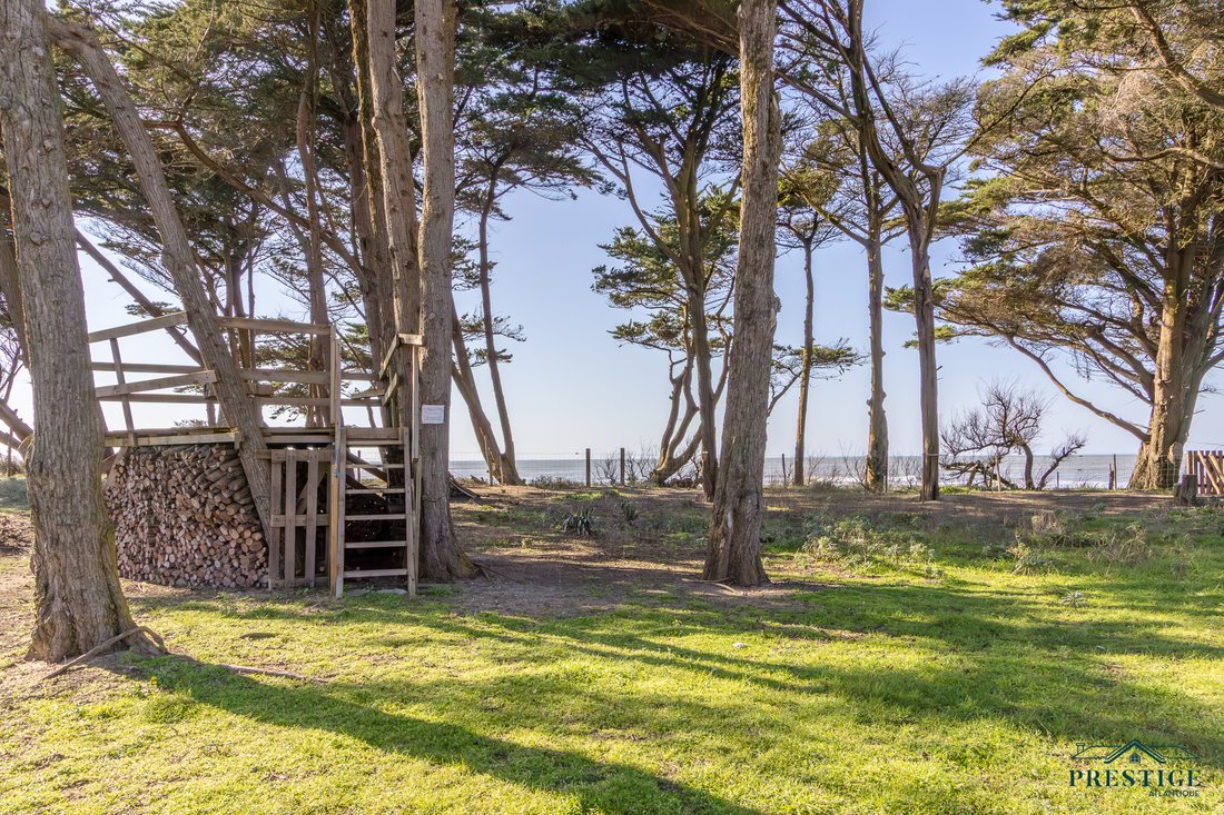 House in La Plaine-sur-Mer, Pays de la Loire, France 5 - 17722900