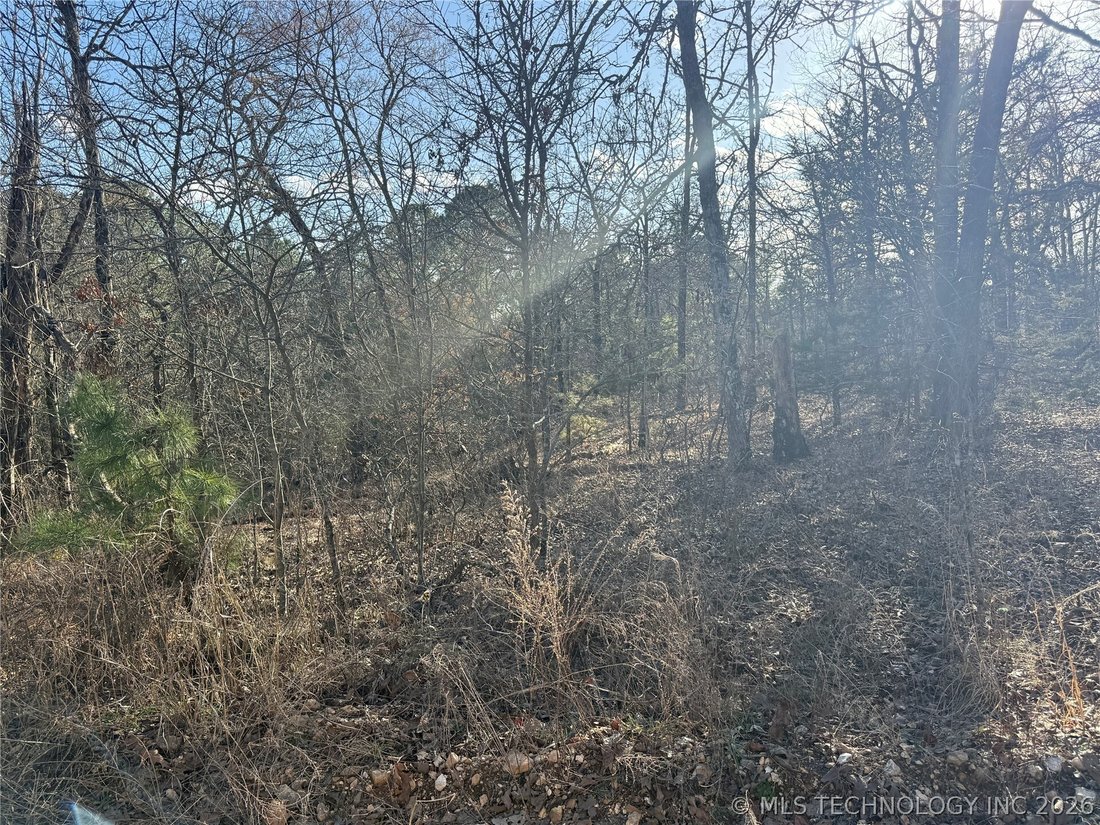 Land in Tahlequah, Oklahoma, United States 5 - 17723738