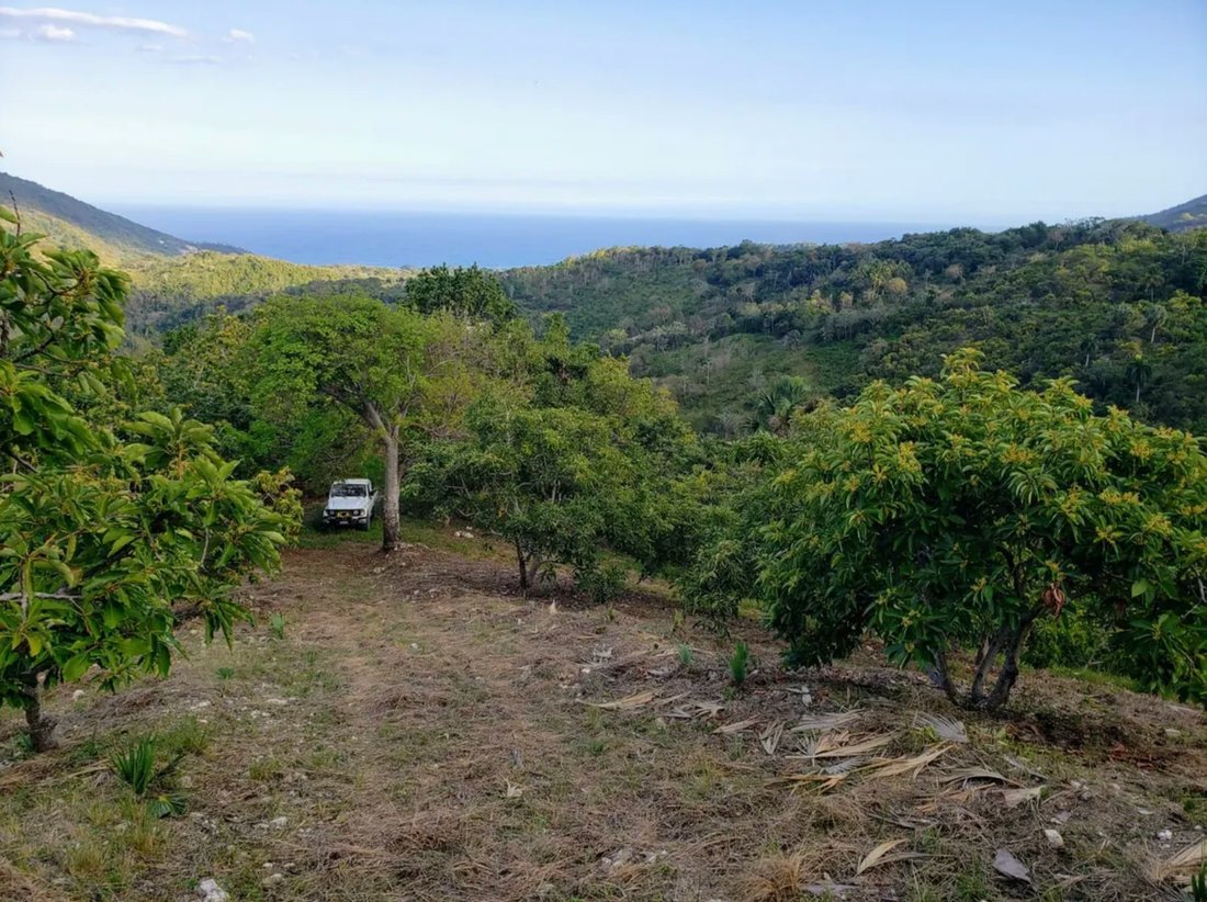 Finca in Barahona, Barahona Province, Dominican Republic 5 - 17721299