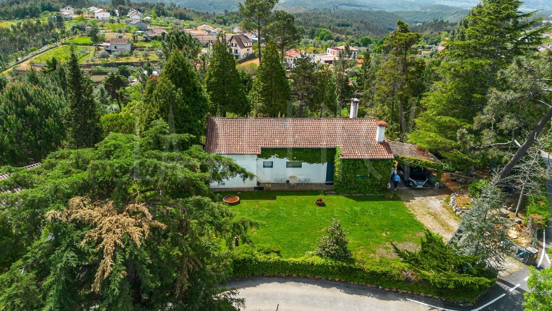 Finca in Sao Martinho da Cortica, Coimbra District, Portugal 3 - 17575235