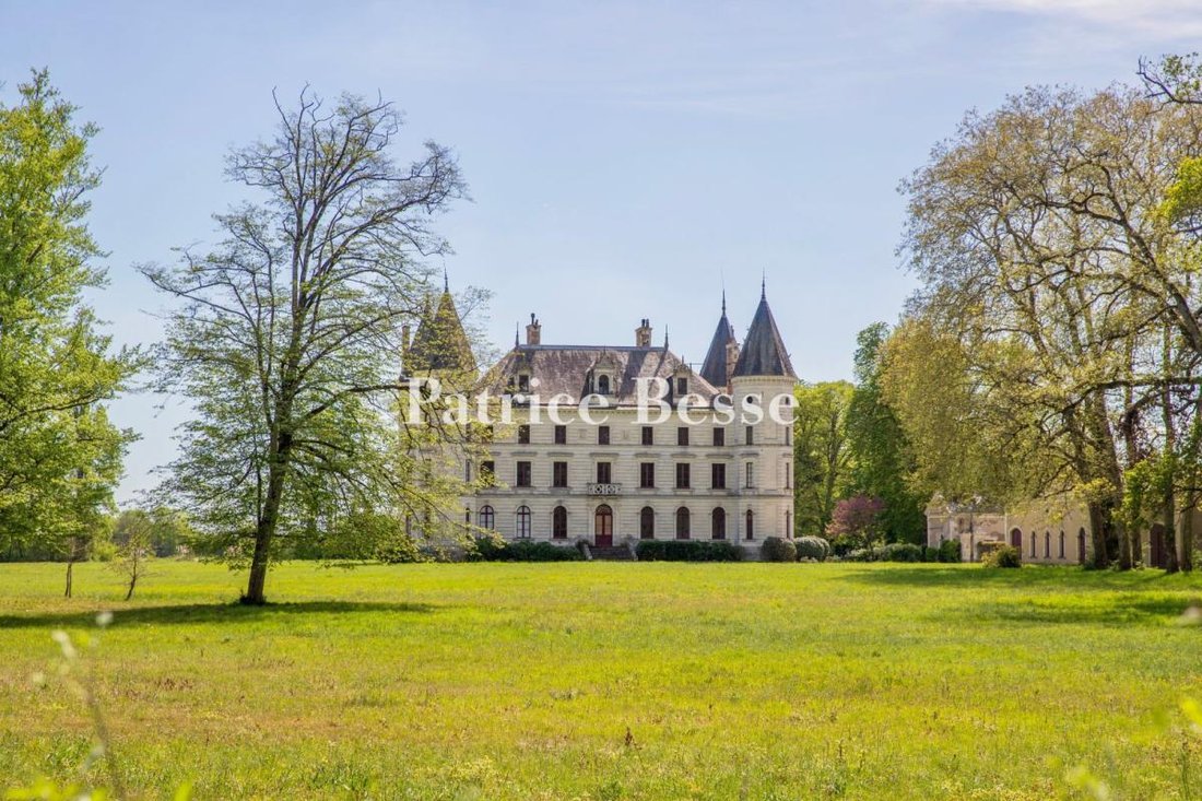 Château à Baugé, Baugé-en-Anjou, France 1 - 17723270