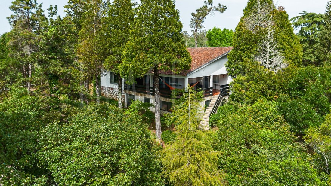 Finca in Sao Martinho da Cortica, Coimbra District, Portugal 2 - 17575235