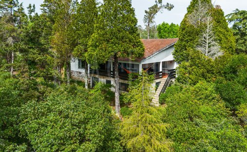 Finca in São Martinho da Cortiça, Distrikt Coimbra, Portugal 1