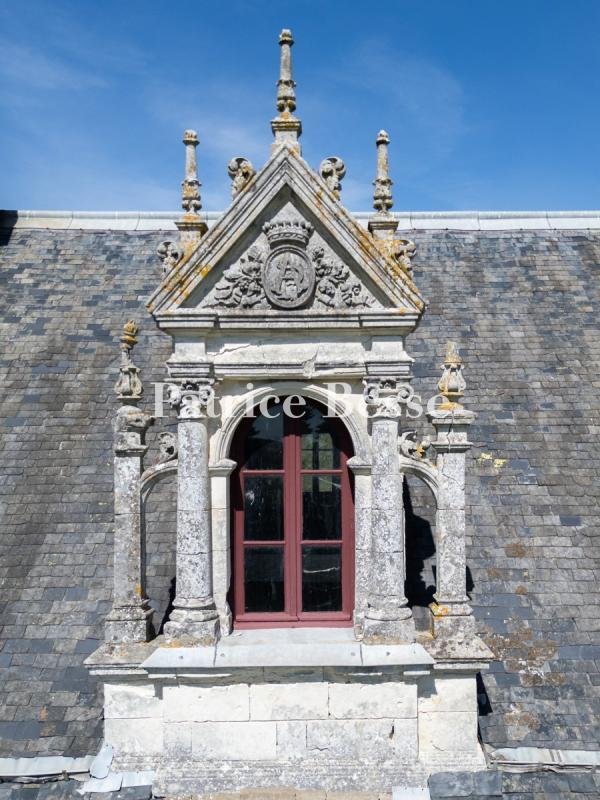 Château à Baugé, Baugé-en-Anjou, France 4 - 17723270