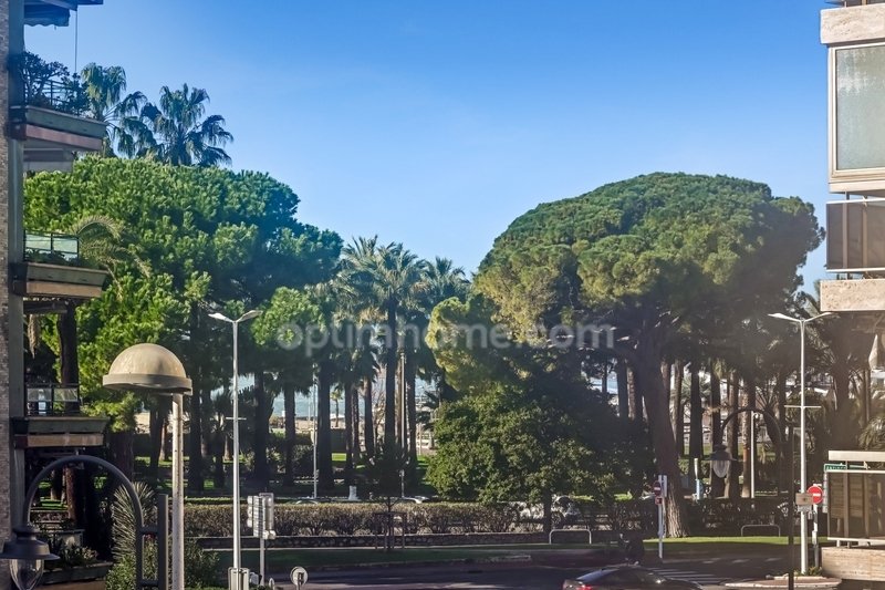Apartment in Cannes, Provence-Alpes-Côte d'Azur, France 3 - 17723351