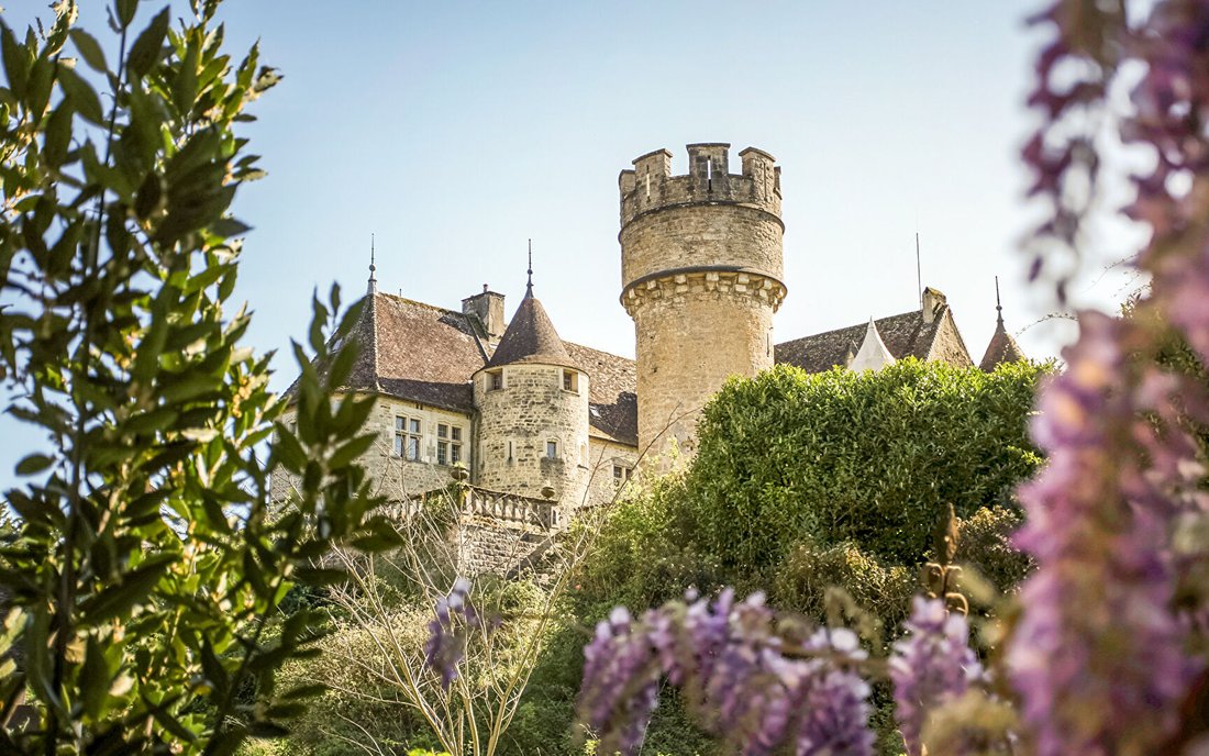 Chateau in Brery, Domblans, France 1 - 17723235