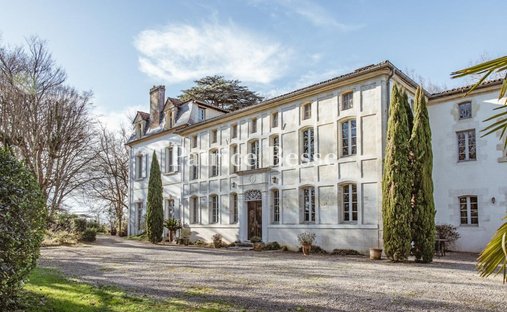 Castle in Montfort-en-Chalosse, Nouvelle-Aquitaine, France 1