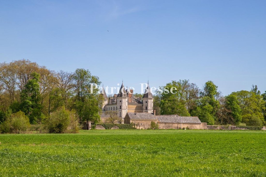 Château à Baugé, Baugé-en-Anjou, France 2 - 17723270