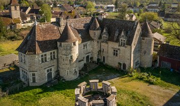Chateau in Brery, Domblans, France 1