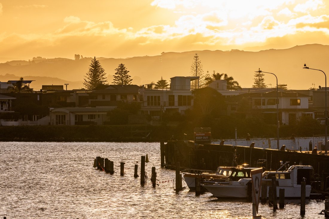 Townhouse in Napier, Hawke's Bay, New Zealand 4 - 17626261