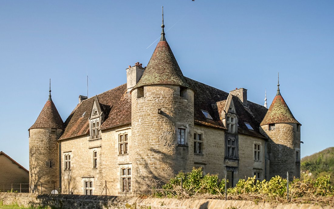 Chateau in Brery, Domblans, France 3 - 17723235