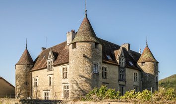 Chateau in Brery, Domblans, France 2