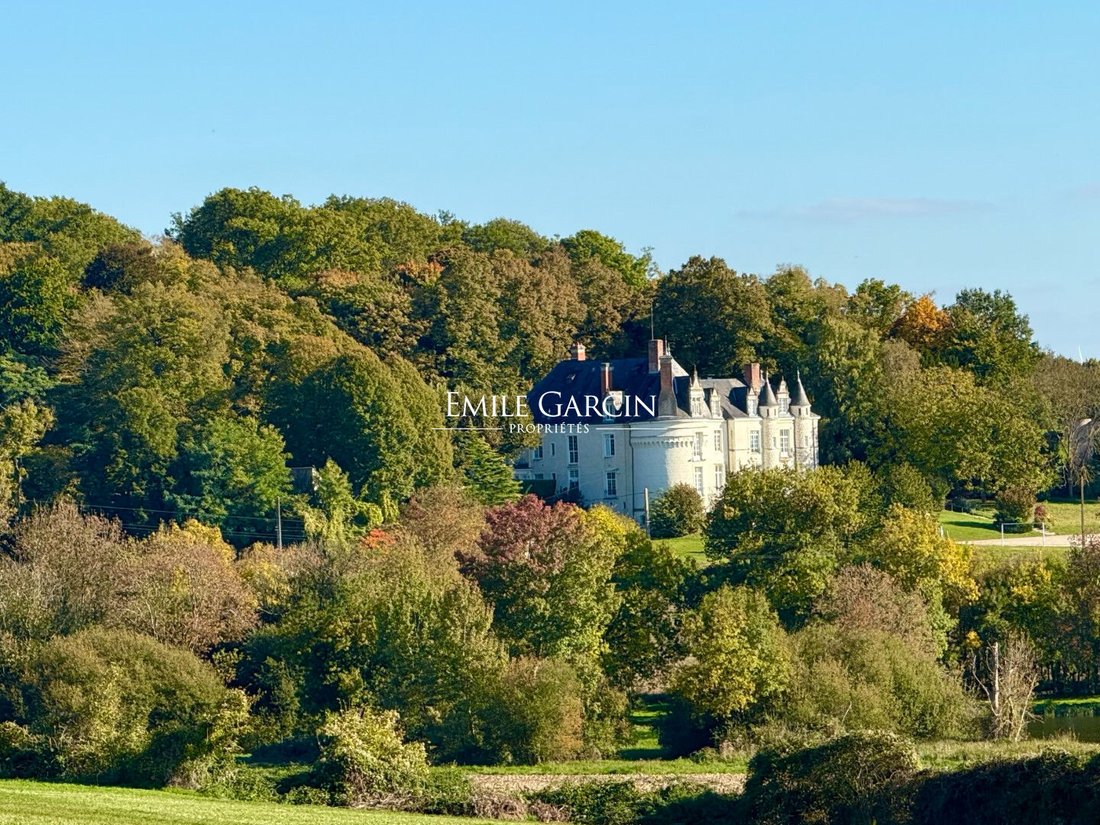 Chateau in Château-du-Loir, Montval-sur-Loir, France 1 - 17723239