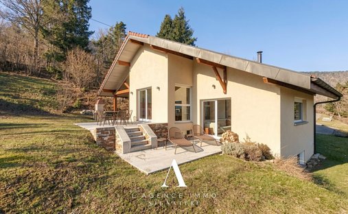 Haus in Centre, Gex, Frankreich 1