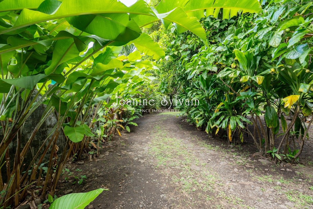 House in Paparā, Windward Islands, French Polynesia 4 - 17272147