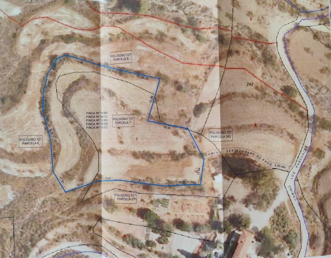 Land in Lorca, Región de Murcia, Spain 4 - 17724827