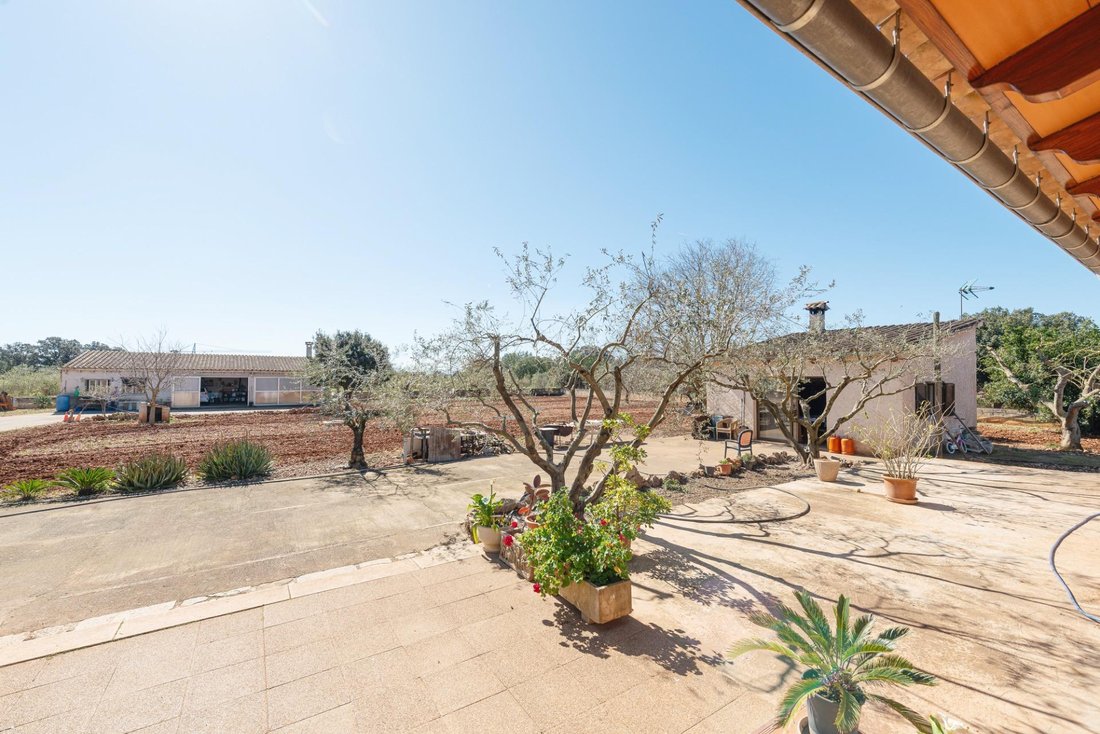 Country House in Inca, Balearic Islands, Spain 2 - 17725174