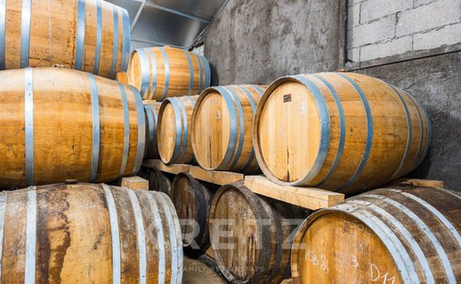 Azienda agricola a Rouffiac, Nuova Aquitania, Francia 1