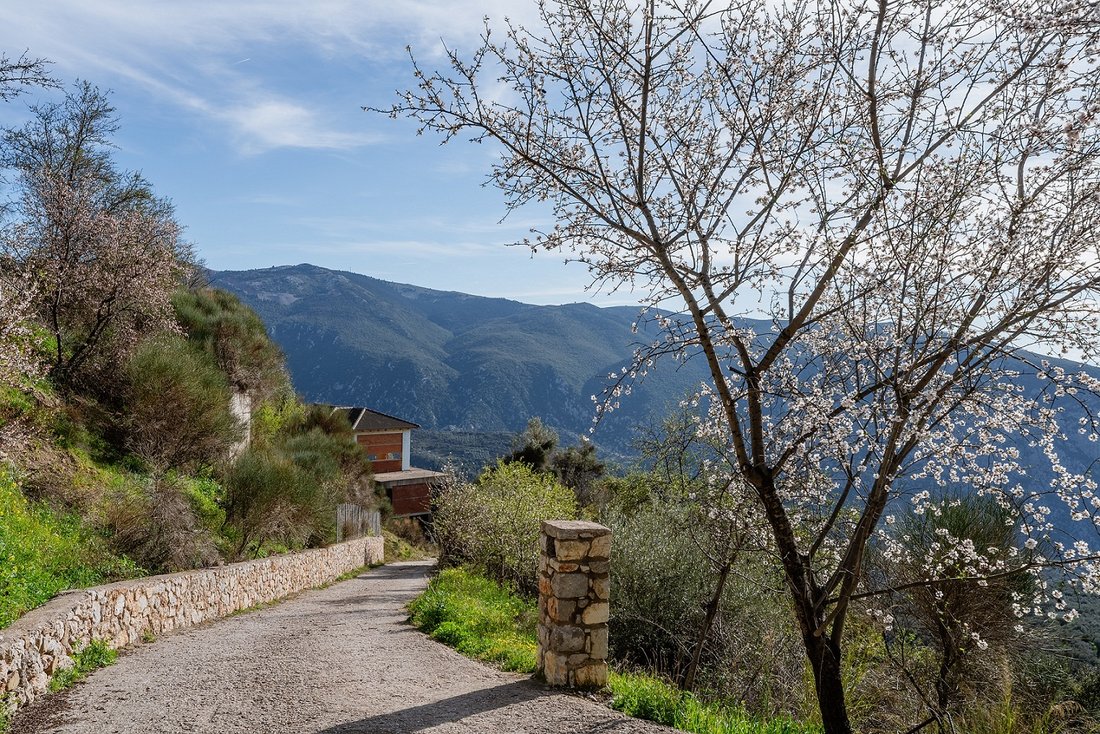 House in Arachova, Thessaly and Central Greece, Greece 3 - 17726177