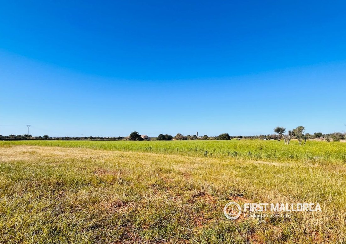 Land in Felanitx, Balearic Islands, Spain 2 - 17730358