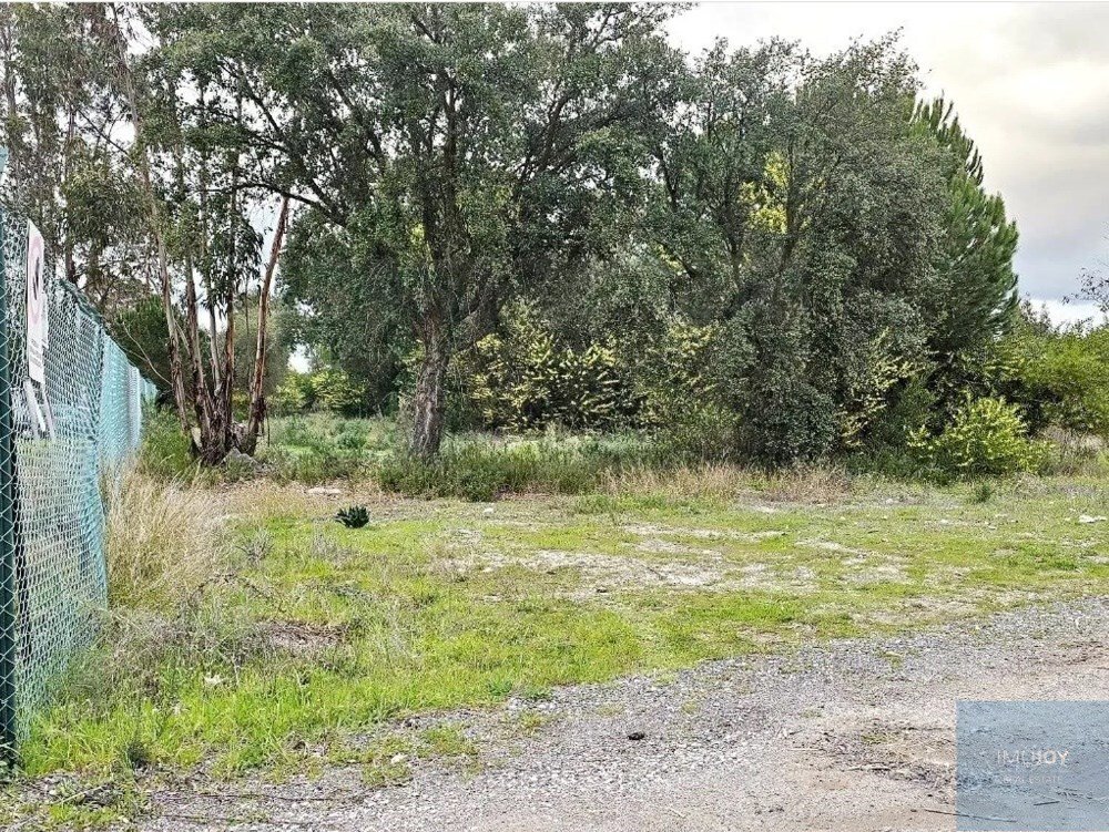 Land in Pegoes, Setubal, Portugal 3 - 17730987