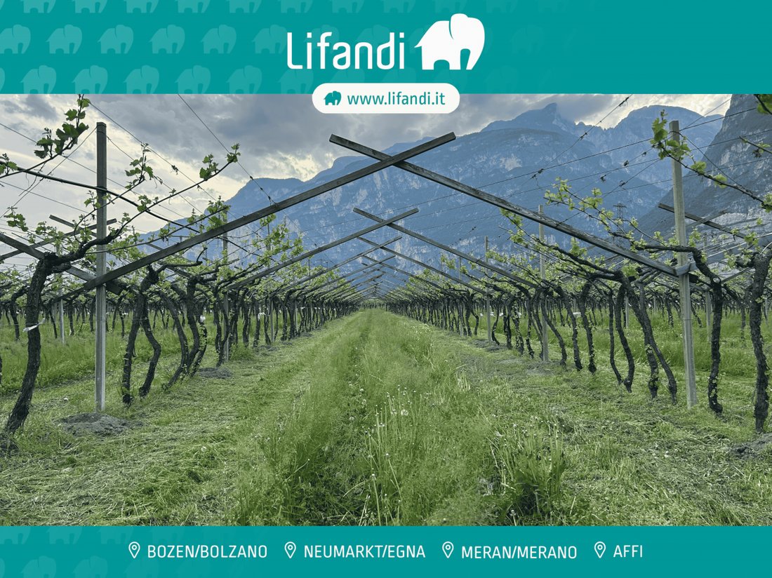 Land in Salorno / Salurn an der Weinstraße, Trentino – Alto Adige/Südtirol, Italy 1 - 17731254