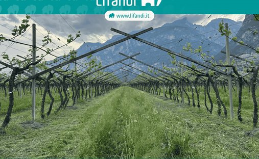 Terreno a Salorno sulla Strada del Vino, Trentino-Alto Adige, Italia 1