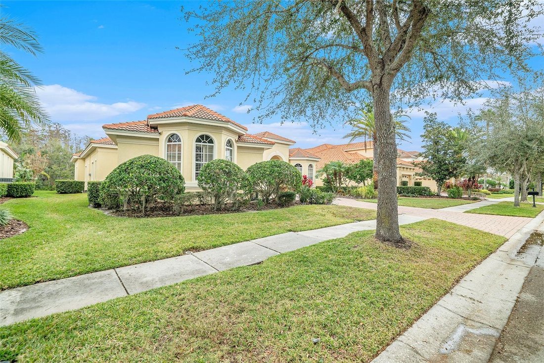 House in Tampa, Florida, United States 3 - 17729901