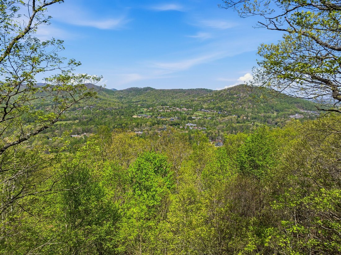 Land in Mills River, North Carolina, United States 5 - 17732138