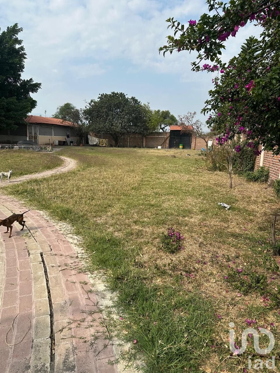 Land in Sendero Real, Jalisco, Mexico 5 - 17727632