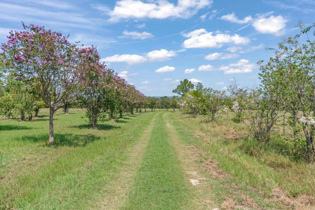 House in Wills Point, Texas, United States 2 - 17730460