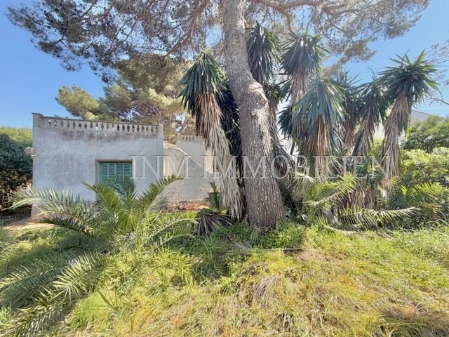 House in Playa de Palma, Palma, Balearic Islands 4 - 17727562