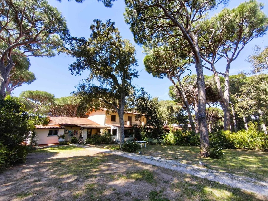House in Punta Ala, Castiglione della Pescaia, Tuscany 1 - 17731039