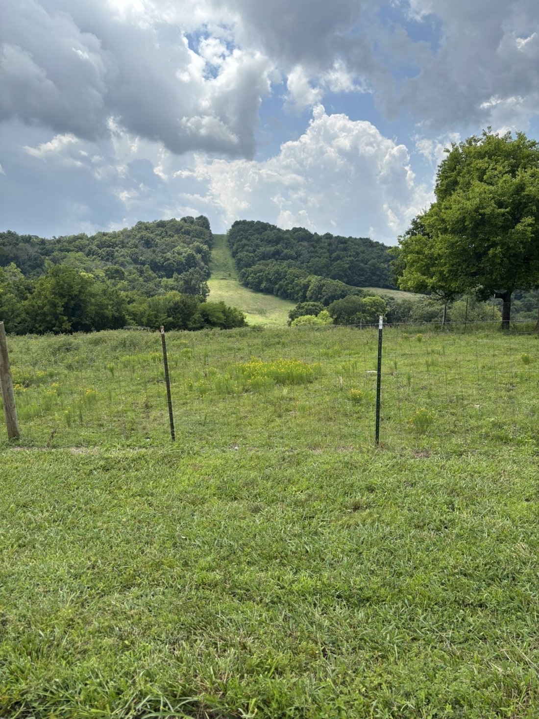 Land in Nolensville, Tennessee, United States 1 - 17732136
